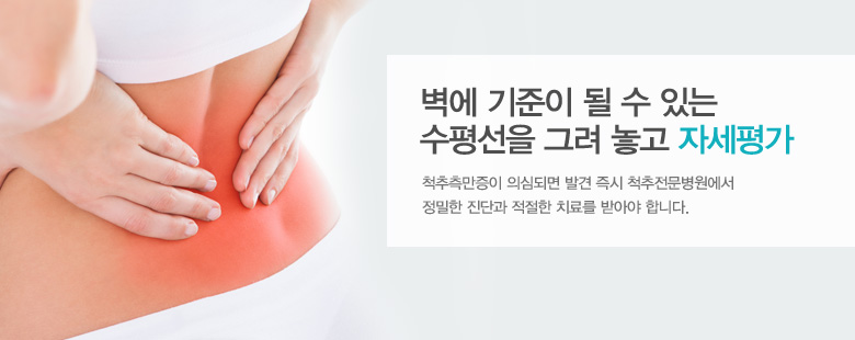 벽에 기준이 될 수 있는 수평선을 그려 놓고 자세평가